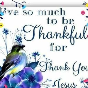 Meet your Posher, Betty